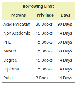 Borrowing limit 2025